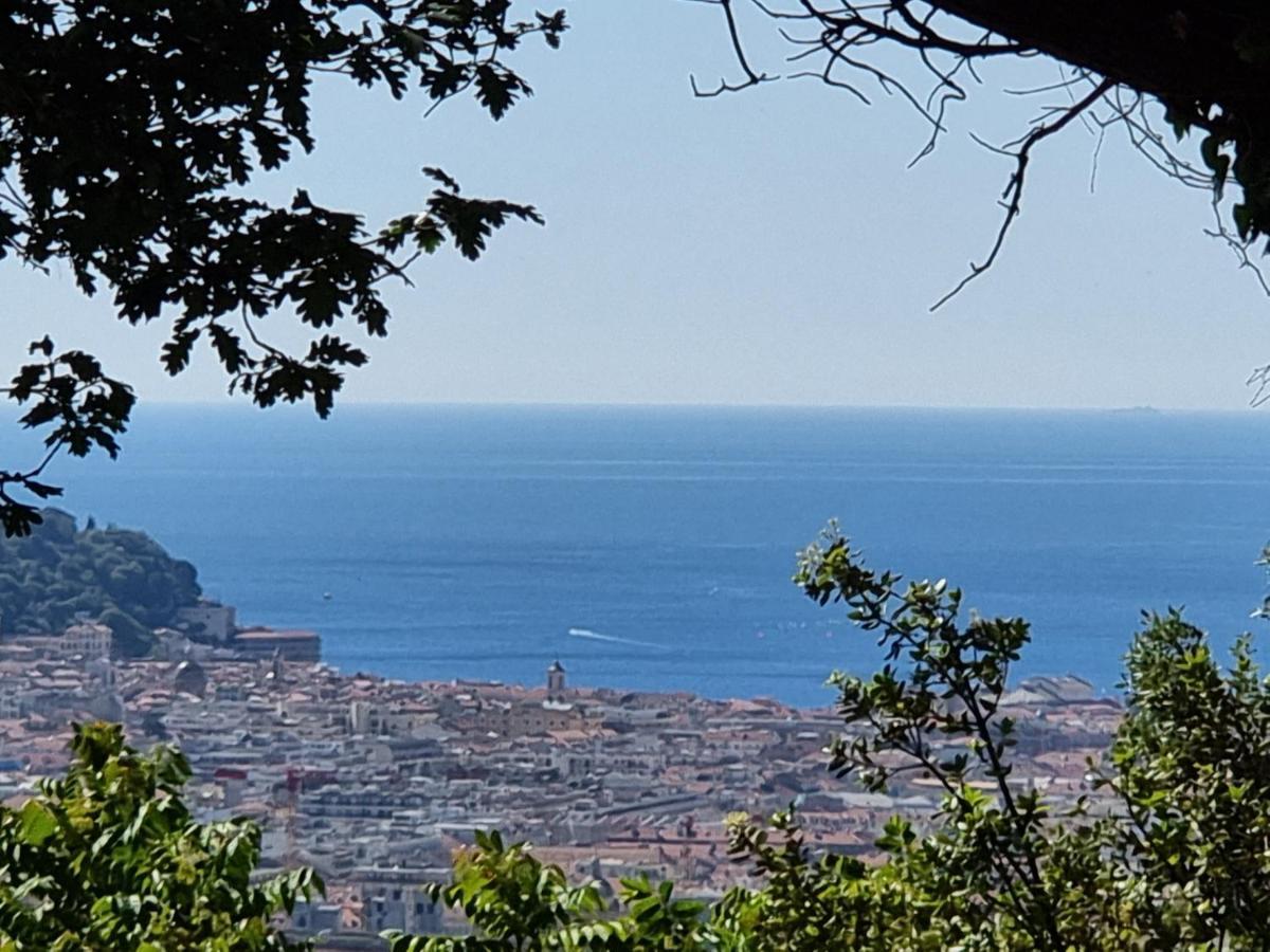 Plage Vue Mer Nice